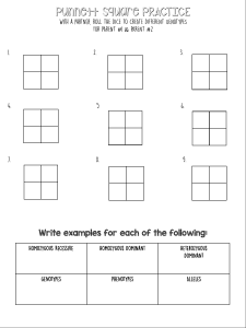 Punnett Square Practice Worksheet