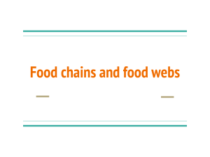 Food Chains & Food Webs: Ecosystems Explained