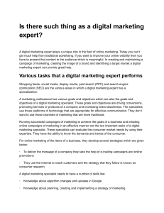 Is there such thing as a digital marketing expert