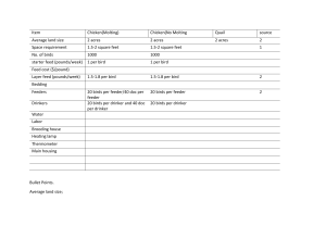 Chicken & Quail Farming: Land, Feed, and Space Requirements