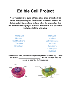 Edible Cell Project: Build a Food Cell Model