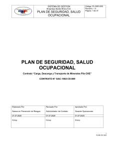 468568116-Plan-de-Prevencion-de-Riesgos-2020-docx
