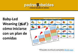 BLW: Guía y Plan de Comidas para Bebés