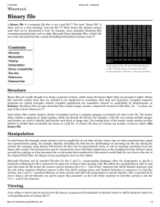 Binary Files: Structure, Manipulation, and Compatibility
