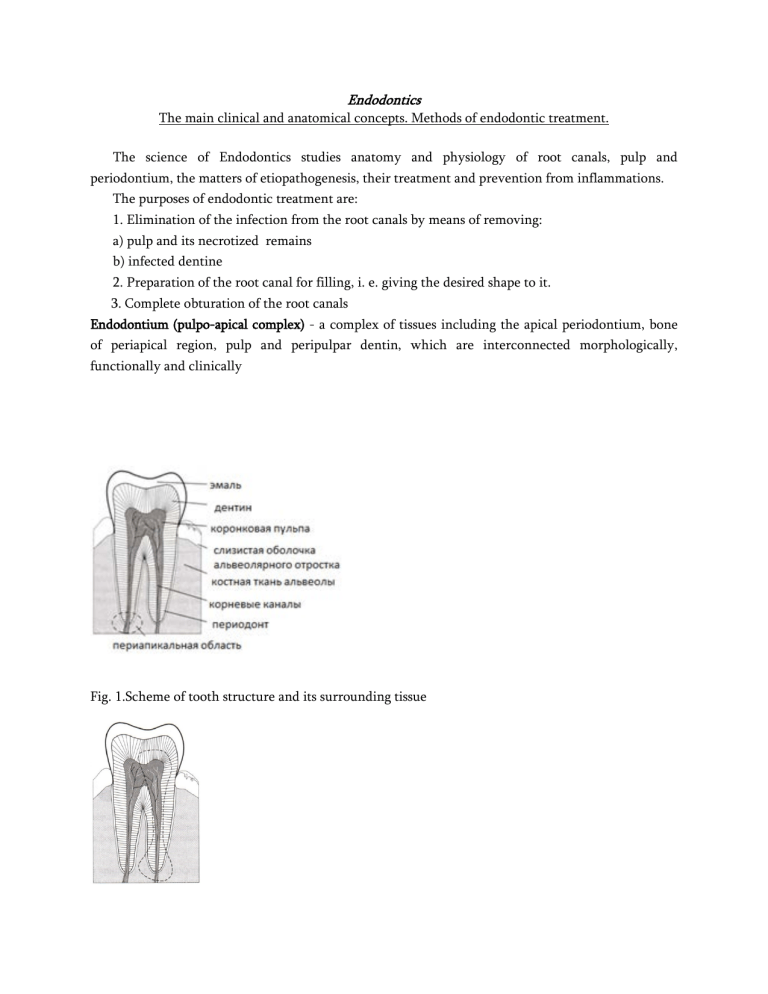 endodontics-root-canal-anatomy-treatment-methods