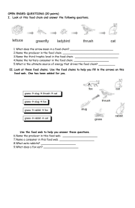 Food Chains and Food Webs Worksheet