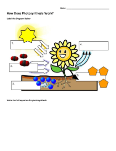 Photosynthesis Worksheet: Diagram & Equation