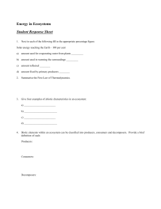 Energy in Ecosystems Video Response sheet