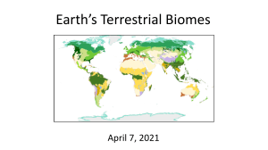 3 - Terrestrial Biomes
