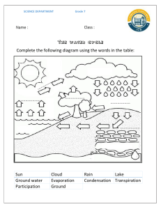 Water Cycle Worksheet for Grade 7