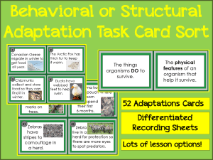 Behavioral or Structural Card Sort