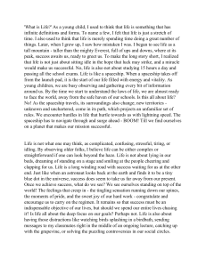 What is Life? Essay on Meaning, Success, and Distractions