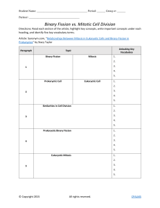 Binary Fission vs. Mitosis Worksheet