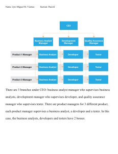 Company Organizational Chart: Matrix Structure