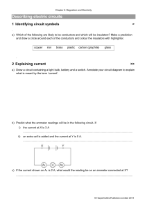 Electricity & Magnetism Worksheet: Circuits & Current