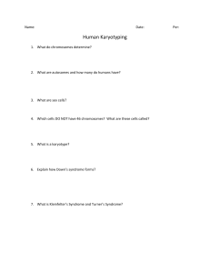 Human Karyotyping Worksheet