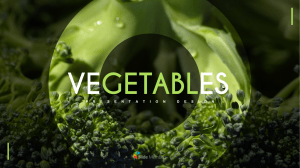 Vegetabilia Praesentatio Design