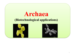 Archaea Biotechnological Applications