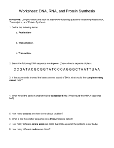 DNA, RNA, Protein Synthesis Worksheet