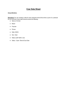 Cow Data Sheet: Breed, Purpose, and Status
