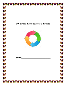 3rd Grade Life Cycle and Traits Student Journal