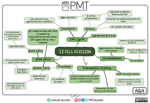 Cell Division: Mitosis, Stem Cells, and Cloning Mind Map