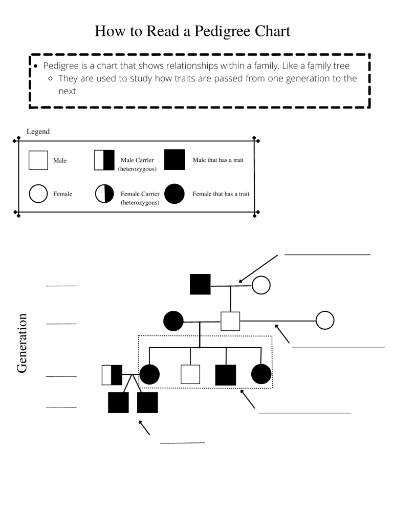 How to Read a Pedigree Chart AdvancedClass