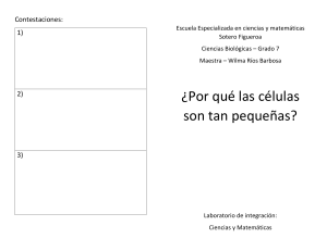 Tamaño Celular, Área y Volumen: Laboratorio de Biología Grado 7