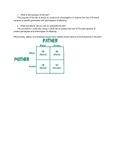Punnett Square Lab Report