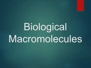 Biological Macromolecules: Carbohydrates, Lipids, Proteins, Nucleic Acids
