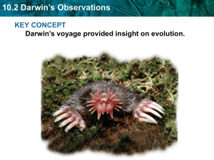 Darwin part 1