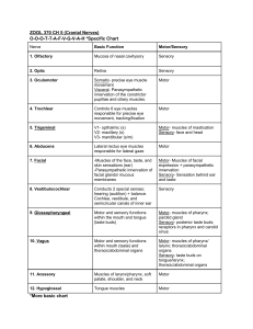 Cranial Nerves Chart: Functions & Motor/Sensory Roles