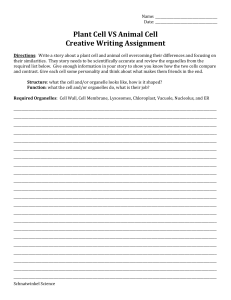 Plant vs Animal Cell Creative Writing Worksheet