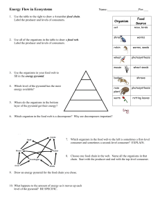Energy Flow in Ecosystems Worksheet