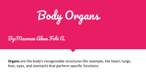 Body Organs -Maamae Akua Fobi