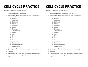 CELL CYCLE PRACTICE