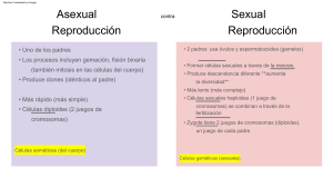 Asexual vs. Sexual Reproduction - use in class (1)