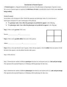 Punnett Square Worksheet: Genetics Practice