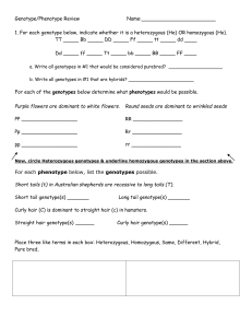 Genotype Phenotype Review Worksheet