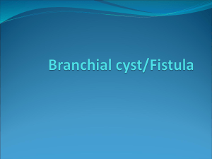 branchial-cyst-and-thyroglossal-cyst