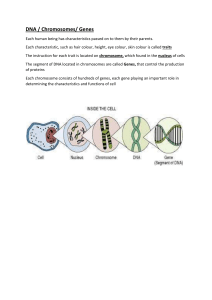 DNA, Chromosomes, Genes: Basic Genetics