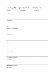 Cell Organelle Summary: Structure and Function