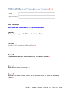 Transcription and Translation Practical Assignment