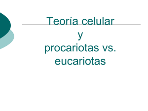  Versión en español  procariotas y eucariotas