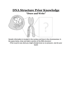 DNA Structure Prior Knowledge Worksheet