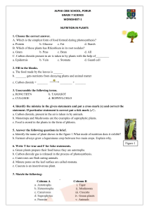 Grade 7 Science Worksheet: Nutrition in Plants