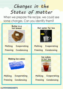 States of Matter Changes: Melting, Evaporation, Freezing