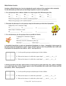 Bikini Bottom Genetics Worksheet: Punnett Squares & More