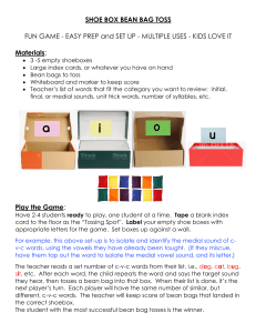 Shoe Box Bean Bag Toss: Vowel Sound Game