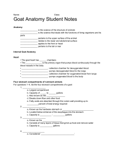 Goat Model - Lesson 1  Goat Anatomy Student Notes (1)